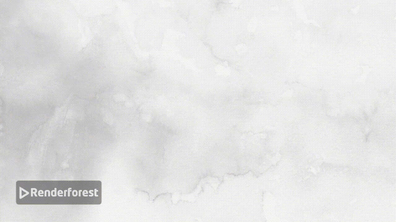 Startup Animation